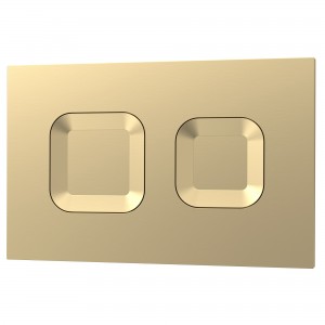 Brushed Brass Square Dual Flush Push Button