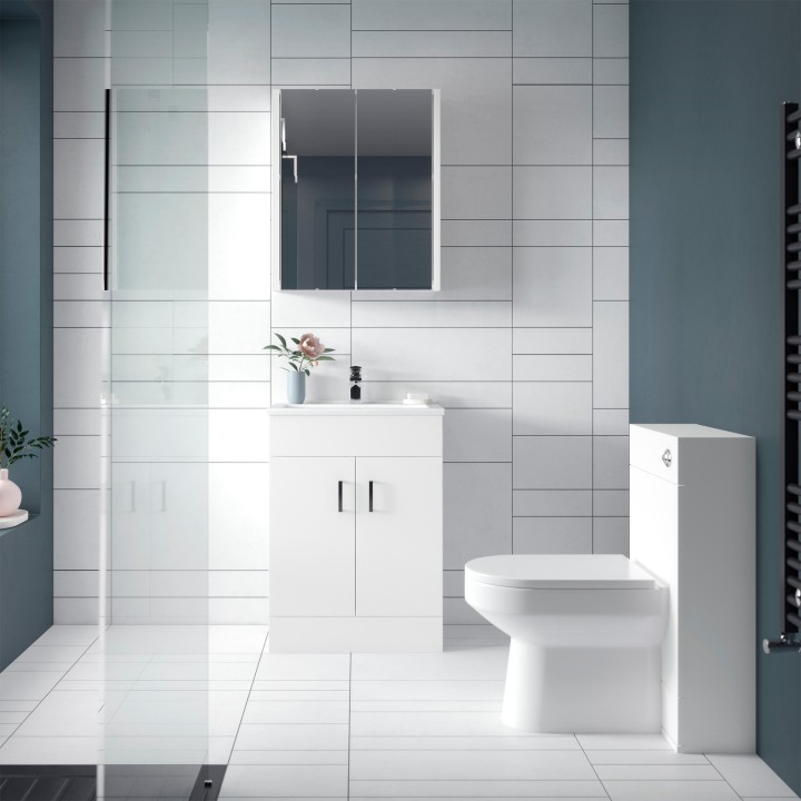 Eden 500mm (w) x 800mm (h) x 200mm (d) Toilet Unit - Insitu