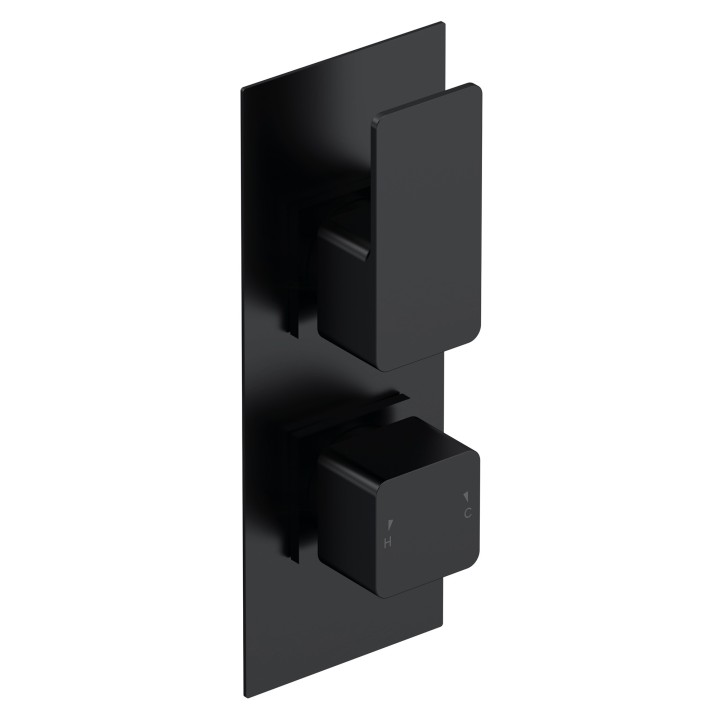 Windon Twin Thermostatic Shower Valve