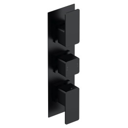 Windon Dual Thermostatic Shower Valve