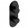 Arvan Black Twin Thermostatic Shower Valve