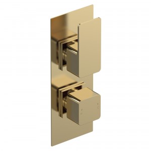 Windon Brushed Brass Twin Thermostatic Shower Valve