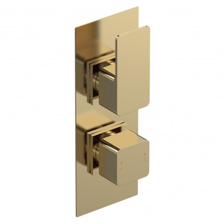 Windon Brushed Brass Twin Thermostatic Shower Valve