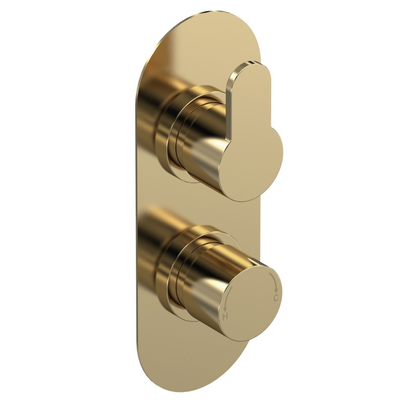Arvan Brushed Brass Twin Thermostatic Shower Valve With Diverter