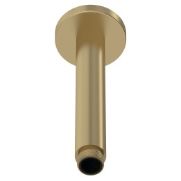 Brushed Brass Round Ceiling-Mounted Arm 150mm