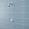 Ocean Manual Concealed/Exposed Shower Valve Single Handle - Insitu