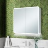 Phoenix 600mm (w) 2 Door LED Mirrored Cabinet - Insitu