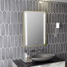 Nebraska 500mm (w) x 700mm (h) Rounded Front-Lit LED Mirror - Brushed Brass - Insitu