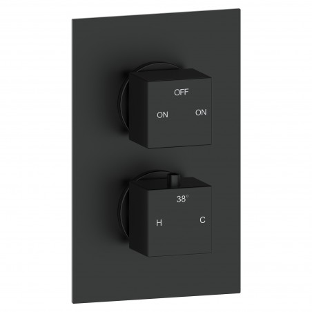 Murcia Thermostatic Two Outlet Twin Shower Valve - Matt Black