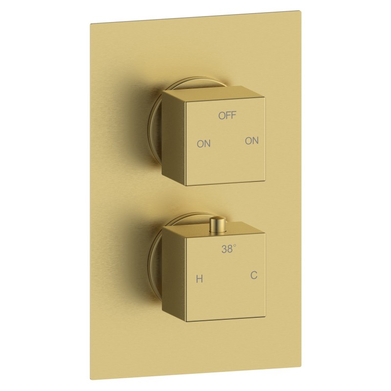 Murcia Thermostatic Two Outlet Twin Shower Valve - Brushed Brass