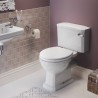 Bari Close Coupled WC & Satin White Wood Effect Seat With Brass Hinges