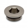 Brushed Nickel Blanking Plug