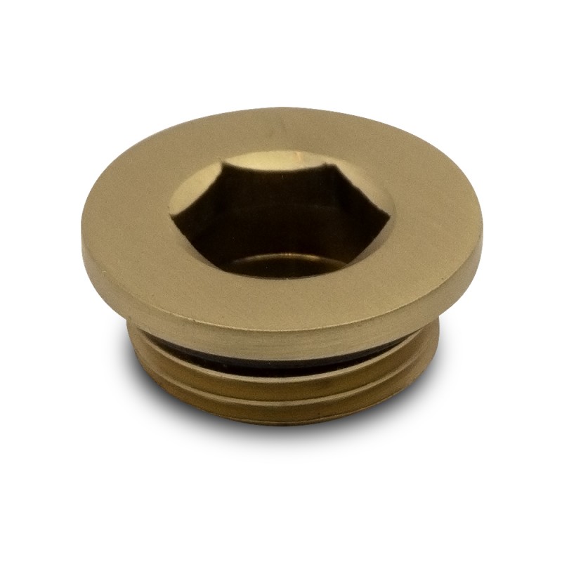 Brushed Brass Blanking Plug