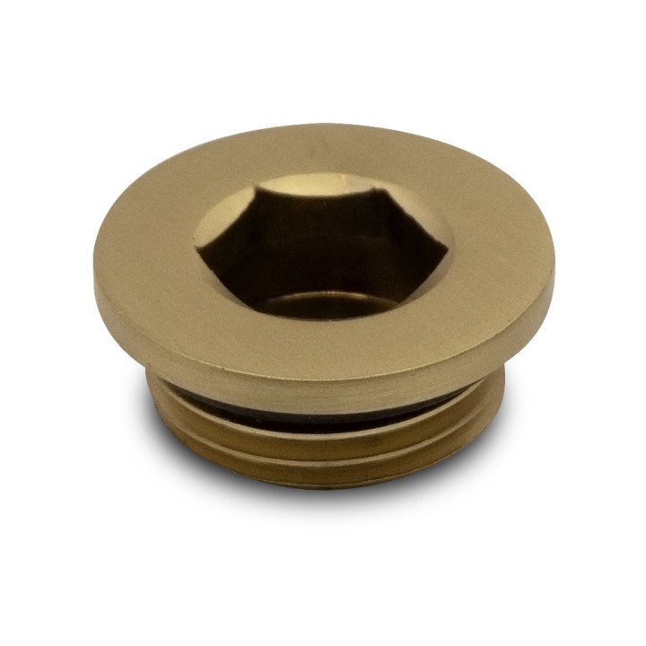 Brushed Brass Blanking Plug
