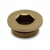 Brushed Brass Blanking Plug