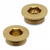 Polished Brass Bleed Valve and Blanking Plug Set (for Radiators or Towel Rails)