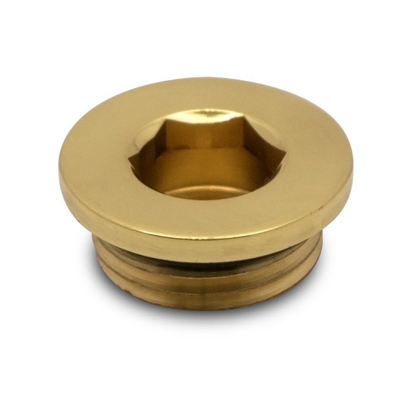 Polished Brass Blanking Plug