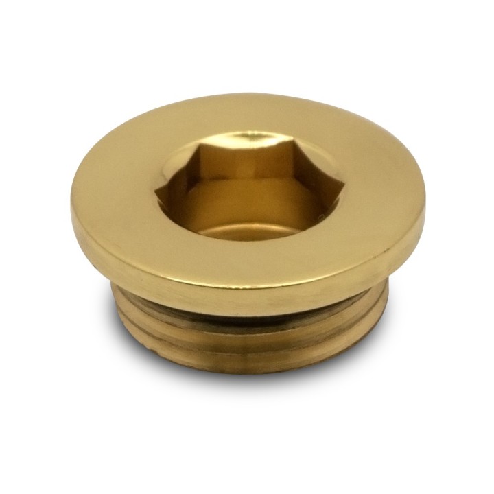 Polished Brass Blanking Plug