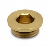 Polished Brass Blanking Plug