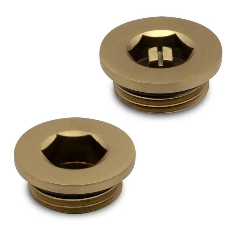 Brushed Brass Bleed Valve and Blanking Plug Set (for Radiators or Towel Rails)