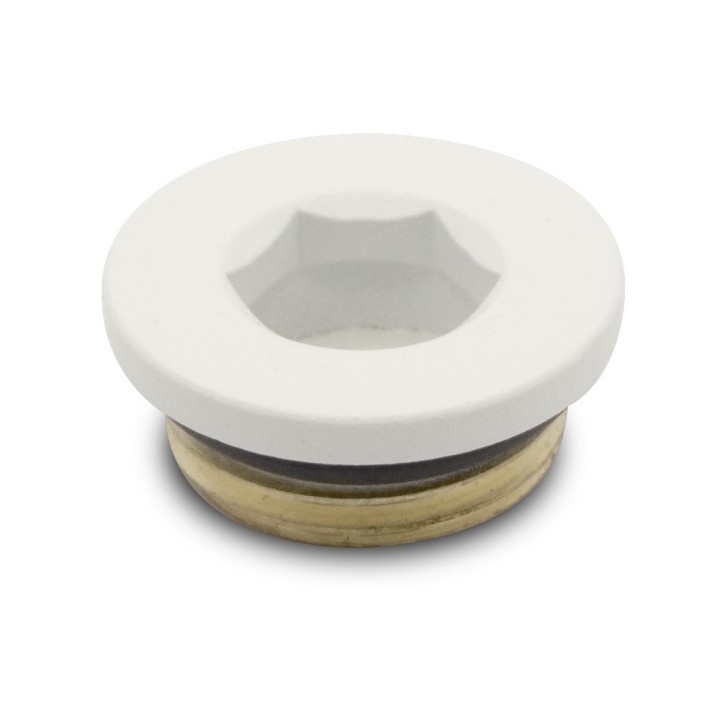 Matt White Blanking Plug