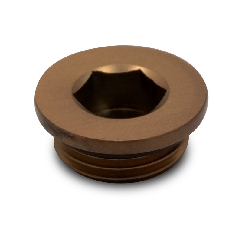 Brushed Bronze Blanking Valve