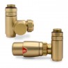 Brushed Brass Thermostatic Dual Fuel Valve Set for Radiators & Towel Rails (Pair)