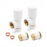 Angled White Radiator Valves - Components