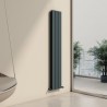 Carisa "Chambord Double" Textured Anthracite Aluminium Vertical Designer Radiators (3 Sizes)