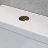 Dual Push Button (Cable) - Brushed Bronze - Insitu