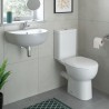 Varese 450x400mm 1TH Cloakroom Basin & Brushed Bronze Bottle Trap - Insitu