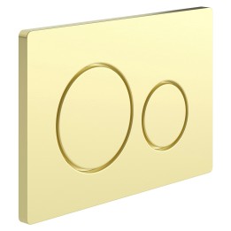 Brushed Brass Dual Flush Plate (Large Round Buttons)