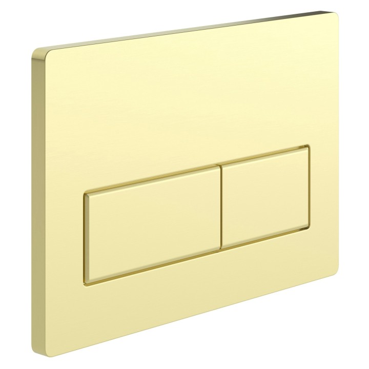 Brushed Brass Dual Flush Plate (Large Rectangular Buttons)