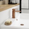 Windon Mono Basin Mixer with Push Button Waste - Brushed Bronze - Insitu