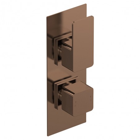 Windon Twin Thermostatic Valve - Brushed Brass