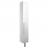 Tokyo 300mm(w) 2 Door Tall Unit - White Gloss