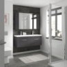 Athena 1200mm Wall Hung 2-Drawer Double Basin Vanity Units