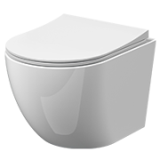 Wall Hung Toilets