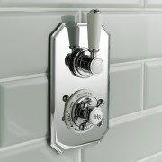 Shower Valves