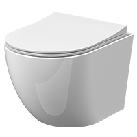 Wall Hung Toilets